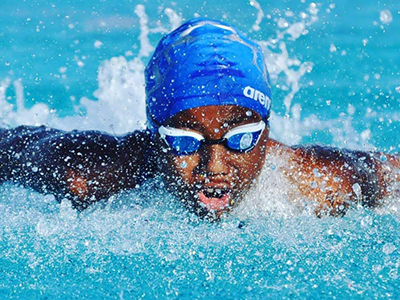 Samara swimming fly